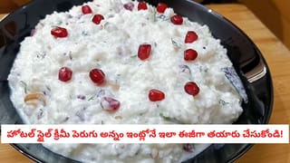 Pigeon Repellent Hack : ఐదు నిమిషాల్లో బాల్కనీకి వచ్చిన పావురాన్ని తరిమివేయండి.. సోషల్ మీడియాలో వైరల్ అవుతున్న క్రేజీ ట్రిక్!