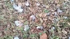 అవన్నీ చెరువులోకి ఎలా వచ్చాయ్..