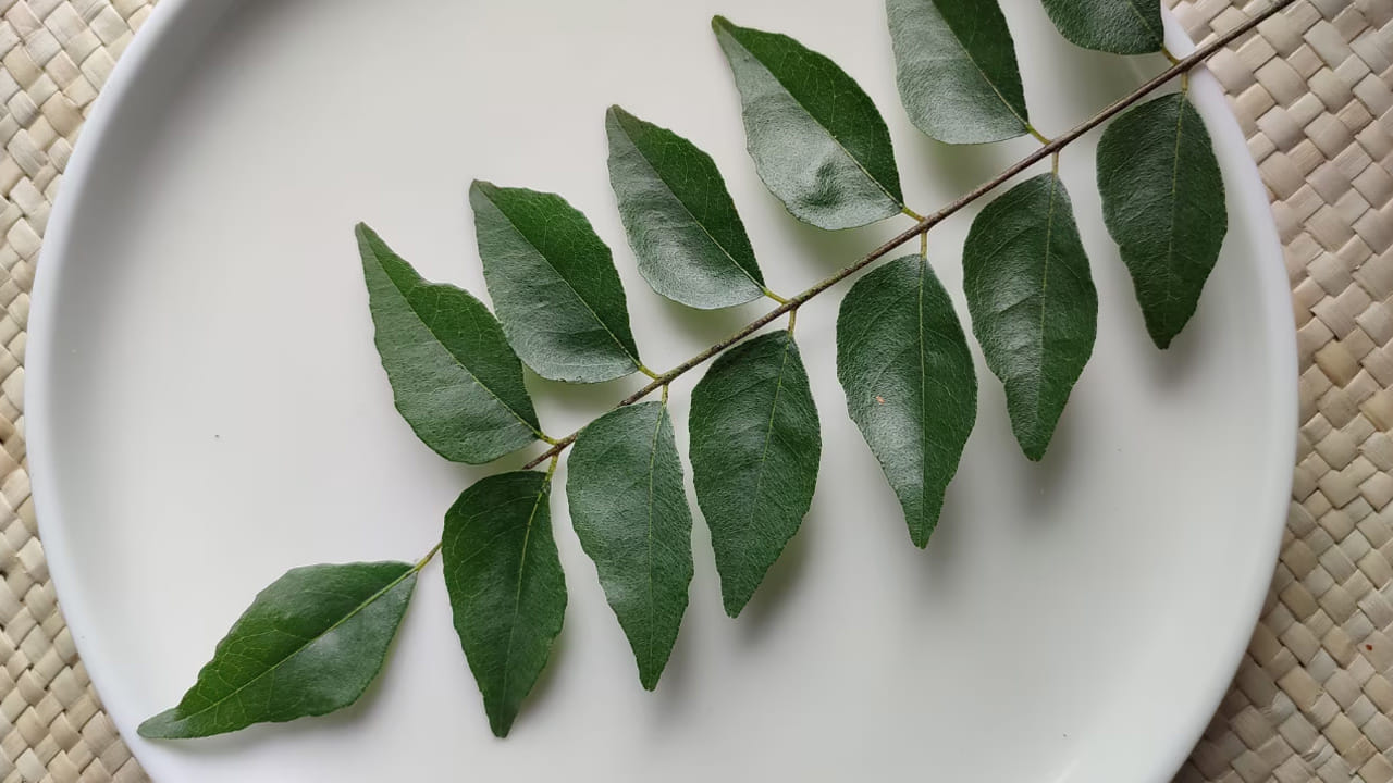 Curry Leaves