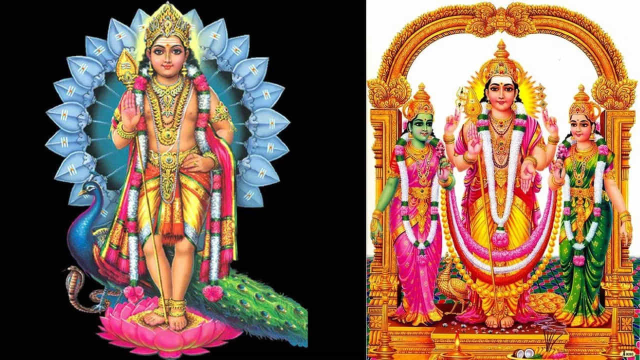 3. శరవణభవ:
ఇది ముఖ్యంగా ఆడవారికి సంబంధించిన కొన్ని ప్రత్యేక సమస్యలకు పరిష్కారంగా సూచించబడింది. సంతానలేమి, బహిష్టు సమయంలో ఇబ్బందులు, భార్యాభర్తల మధ్య అన్యోన్యత లేకపోవడం, పెళ్లిళ్లు కాకపోవడం, సంతానం బలహీనంగా ఉండటం వంటి సమస్యలకు ఇది శక్తివంతమైన మంత్రం. ఈ సమస్యలు స్వాధిష్ఠాన చక్రం, ఫెలోపియన్ ట్యూబ్స్ వంటి వాటికి సంబంధించిన దోషాల వల్ల కలుగుతాయని, వీటిని "సర్ప దోషం" అని వ్యవహరిస్తారని గురువు తెలిపారు. సర్పాన్ని నియంత్రించేది నెమలి కాగా, నెమలిని అధిరోహించిన కుమారస్వామి షడక్షరి మంత్రం శరవణభవ ఈ దోషాలను తొలగిస్తుంది. ఈ మంత్రాన్ని పఠించేటప్పుడు నాలుక కదలికల వల్ల శరీరంలో ఉత్పత్తి అయ్యే ఎంజైమ్లు, రసాయనాలు కోపాన్ని, ఈర్ష్యను, కామక్రోధ లోభ మోహ మద మాత్సర్యాలను అదుపులో ఉంచుతాయని వివరించారు.