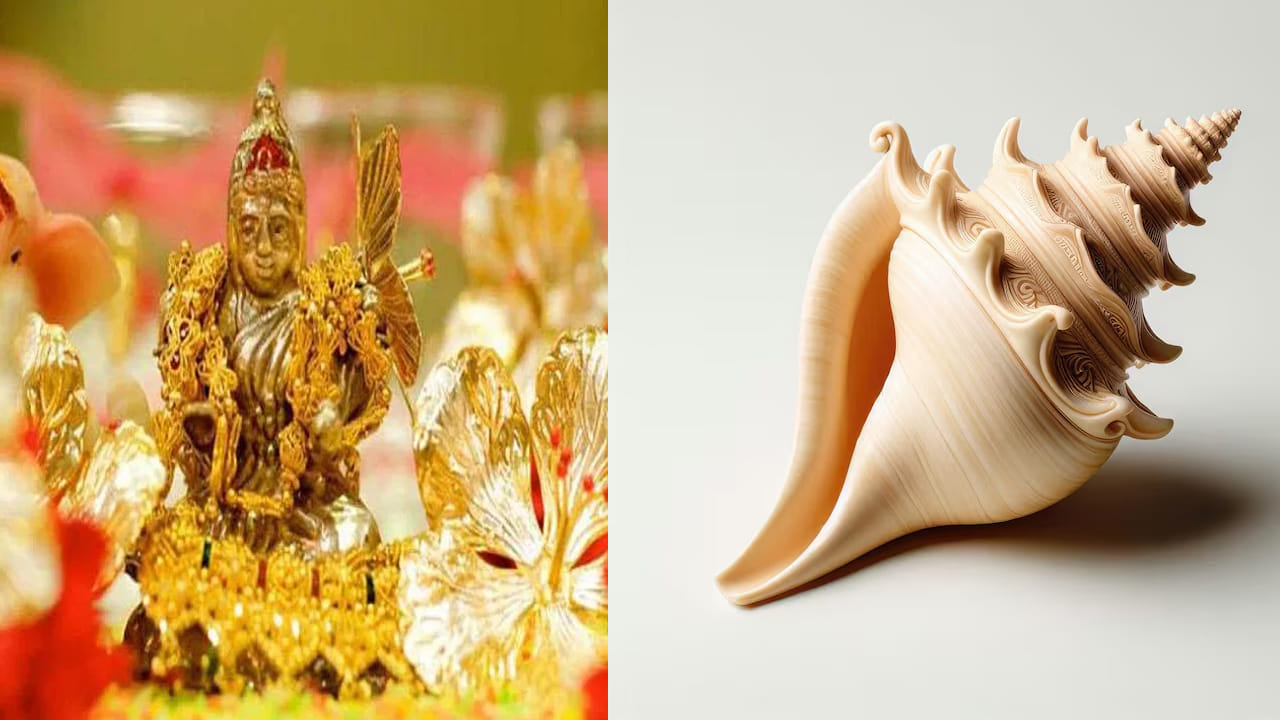 దక్షిణావర్త శంఖం: ఇంట్లో సిరిసంపదలు ఉండాలంటే ఈ రోజున దక్షిణావర్త శంఖాన్ని కొని పూజగదిలో ఉంచడం శుభప్రదం. ఎవరి ఇంట్లో అయితే దక్షిణావర్తి శంఖం ఉంటే వారిపై శ్రీ మహాలక్ష్మి అనుగ్రహం ఉంటుంది. ఆర్థిక సంక్షోభాలు ఒక్కొక్కటిగా తొలగిపోతాయి. శంఖం శబ్ధం వల్ల ఇంట్లో ఉన్న నెగిటివ్ ఎనర్జీ తొలగిపోతుంది. లక్ష్మీదేవి శాశ్వతంగా నివాసముంటుందని నమ్ముతారు.