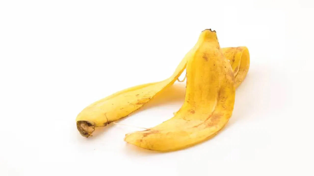 అరటిపండు తొక్కలు కూడా మీ మోచేతులను కాంతివంతంగా మారుస్తాయి. మీ మోచేతులపై కొద్దిగా బేకింగ్ సోడా చల్లి, అరటిపండు తొక్క లోపలి భాగంతో రుద్దండి. దానిలోని సహజ పదార్థాలు మొండి నల్ల మచ్చలను తొలగించడంలో సహాయపడతాయి.