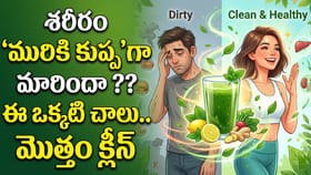 శరీరం 'మురికి కుప్ప'గా మారిందా ?? ఈ ఒక్కటి చాలు.. మొత్తం క్లీన్!