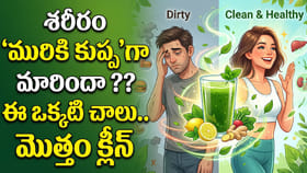 శరీరం 'మురికి కుప్ప'గా మారిందా ?? ఈ ఒక్కటి చాలు.. మొత్తం క్లీన్!
