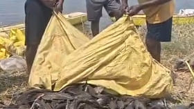 మంచి రవ్వలు, కొర్రమీనులు పడతాయని వల వేసిన జాలర్లు.. చూసేసరికి