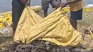 Telangana: అద్భుతం.. అడవి బిడ్డల హైదరాబాద్ పర్యటన.. రేవంత్ సర్కార్ స్పెషల్ ప్రోగ్రామ్