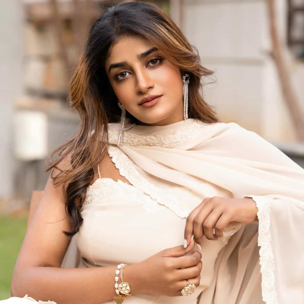 దర్శకుడు బాబీ తన సినిమాల్లో ప్రతినాయక పాత్రలను చాలా పవర్‌ఫుల్‌గా డిజైన్ చేస్తుంటారు. చిరంజీవితో చేయబోయే ఈ సినిమాలో కూడా విలన్ పాత్రకు చాలా ప్రాముఖ్యత ఉందట. ఒక వైపు చిరంజీవి మాస్ మేనరిజమ్స్, మరోవైపు డింపల్ హయాతి నెగటివ్ షేడ్స్ సినిమాకు ప్రధాన ఆకర్షణగా నిలవనున్నాయి. ఒకవేళ ఇదే నిజమైతే, డింపల్ కెరీర్‌కు ఇది ఒక పెద్ద మలుపు అవుతుందని చెప్పవచ్చు.