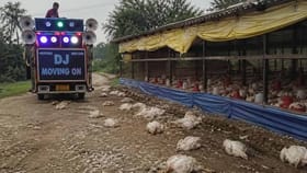 పెళ్లి ఊరేగింపులో అనుకోని ఘటన.. అంతా షాక్!