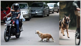 కుక్కలు వాహనాల వెనుక ఎందుకు పడతాయో మీకు తెలుసా? అసలు కారణాలు ఇవే!