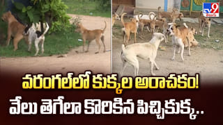 అవుట్ సైడ్ ఫుడ్ తింటే దవాఖానలో బెడ్డే..!