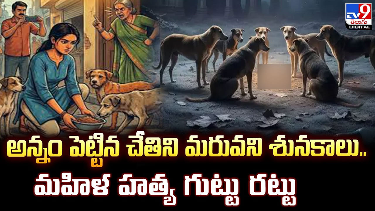 అన్నం పెట్టిన చేతిని మరువని శునకాలు.. మహిళ హత్య గుట్టు రట్టు