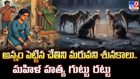 అన్నం పెట్టిన చేతిని మరువని శునకాలు.. మహిళ హత్య గుట్టు రట్టు