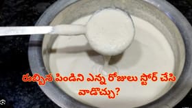 రుబ్బిన దోశ, ఇడ్లీ పిండిని..ఎన్ని రోజుల వరకు స్టోర్ చేసి వాడొచ్చు