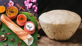 గుడ్డు పచ్చసొన తినాలా వద్దా? అసలు నిజం ఏమిటి? పోషకాల పూర్తి విశ్లేషణ!