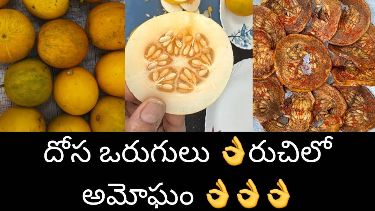 అదిరే సమ్మర్ స్నాక్.. దోస ఒరుగులు.. ఇలా చేస్తే ఎంత బాగుంటాయో..