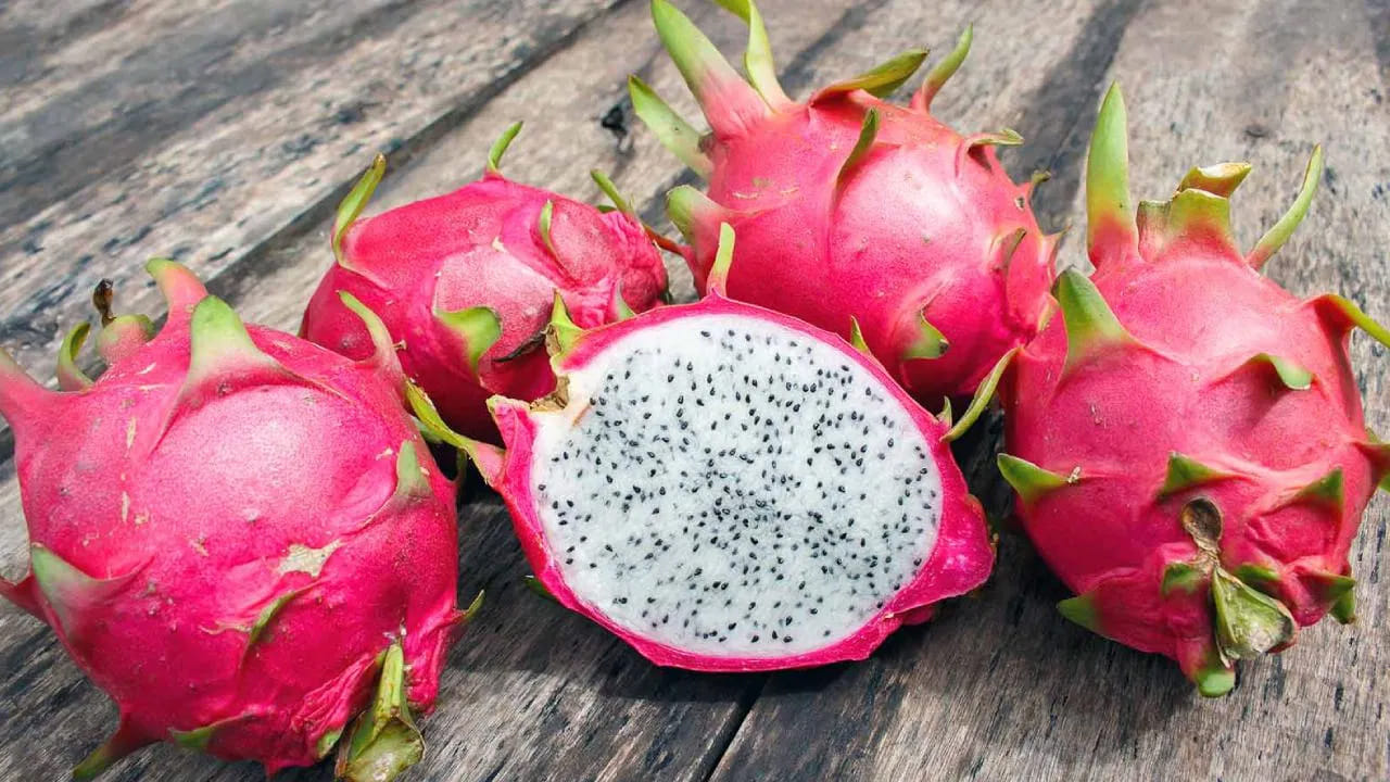 చర్మ ఆరోగ్యానికి ఎలా తోడ్పడుతుంది?: డ్రాగన్ ఫ్రూట్‌లో విటమిన్ సి, యాంటీఆక్సిడెంట్లు, ఫైబర్ పుష్కలంగా ఉంటాయి. ఇందులో ఉండే విటమిన్ సి చర్మంలో కొల్లాజెన్‌ను పెంచి చర్మాన్ని దృఢంగా, యవ్వనంగా ఉంచుతుంది. ఇది ముడతలు, సన్నని గీతలను తగ్గిస్తుంది. ఇది శరీరం నుండి విష పదార్థాలను బయటకు పంపడం ద్వారా చర్మానికి లోపలి నుండి సహజమైన మెరుపును ఇస్తుంది. చర్మంపై వాపును తగ్గించి, మొటిమలు మరియు మచ్చల సమస్యను దూరం చేస్తుంది. విటమిన్ ఇ, అధిక నీటి శాతం ఉండటం వల్ల చర్మం పొడిబారకుండా మృదువుగా మారుతుంది.
