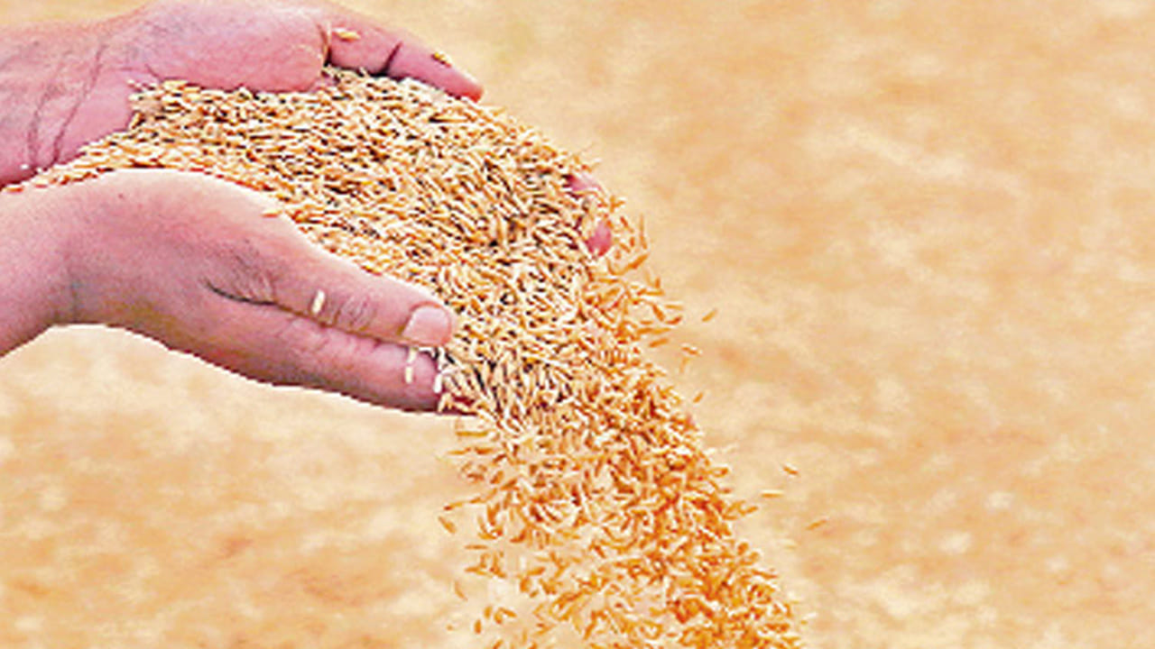 స్వప్నశాస్త్రం ప్రకారం, ఎవరికి అయితే బ్రహముహుర్తంలో కలలో ధాన్యం కనిపిస్తుందో, వారి పంట పండినట్లేనంట. వారికి ఊహించని ప్రయోజనాలు కలుగుతాయని చెబుతున్నారు నిపుణులు. ఇలాంటి కలలు సంపదను సూచిస్తాయంట. ఎవరికి అయితే కలలో ధాన్యం కనిపిస్తుందో వారి ఆర్థిక సమస్యలు తీరిపోయి, ఇంటిలో సంపద పెరుగుతుంది అనే సంకేతం అంటున్నారు వాస్తు శాస్త్ర నిపుణులు.