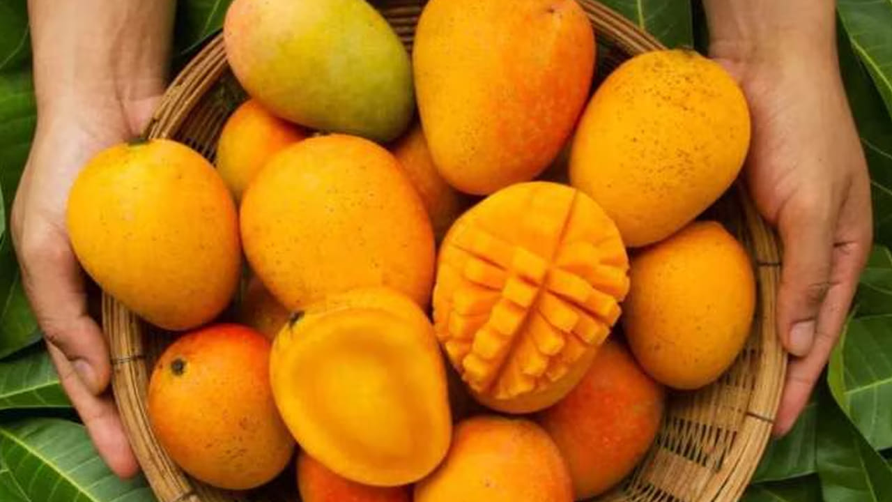 నోట్ : ఈ వార్తలలో ఇవ్వబడిన సమాచారం మత విశ్వాసాలపై ఆధారపడి ఉంది. పాఠకుల ఆసక్తి మేరకు.. పలువురు పండితుల సూచనలు, వారి తెలిపిన అంశాల ఆధారంగా అందించినవి మాత్రమే.. వీటిలో ఎలాంటి శాస్త్రీయ ఆధారాలు లేవని పాఠకులు గమనించాలి. టీవీ9 తెలుగు దీనిని ధృవీకరించలేదు