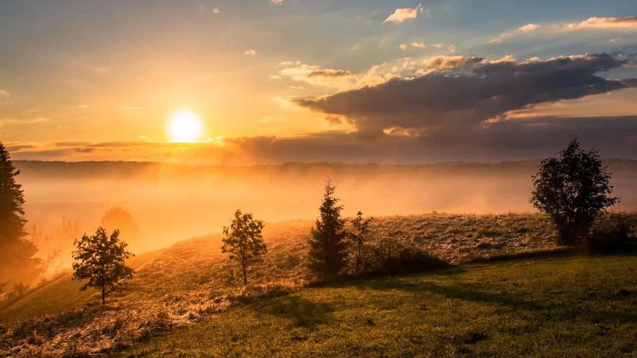 అదేవిధంగా మీ కలలో పూలు, పండ్లు, సూర్య కాంతి , సూర్యుడు కనిపించినా చాలా మంచిదంట. దీని వలన కూడా మీకు అదృష్టం కలిసి వస్తుందని చెబుతున్నారు పండితులు.నోట్ : ఈ వార్తలలో ఇవ్వబడిన సమాచారం మత విశ్వాసాలపై ఆధారపడి ఉంది. పాఠకుల ఆసక్తి మేరకు.. పలువురు పండితుల సూచనలు, వారి తెలిపిన అంశాల ఆధారంగా అందించినవి మాత్రమే.. వీటిలో ఎలాంటి శాస్త్రీయ ఆధారాలు లేవని పాఠకులు గమనించాలి. టీవీ9 తెలుగు దీనిని ధృవీకరించలేదు