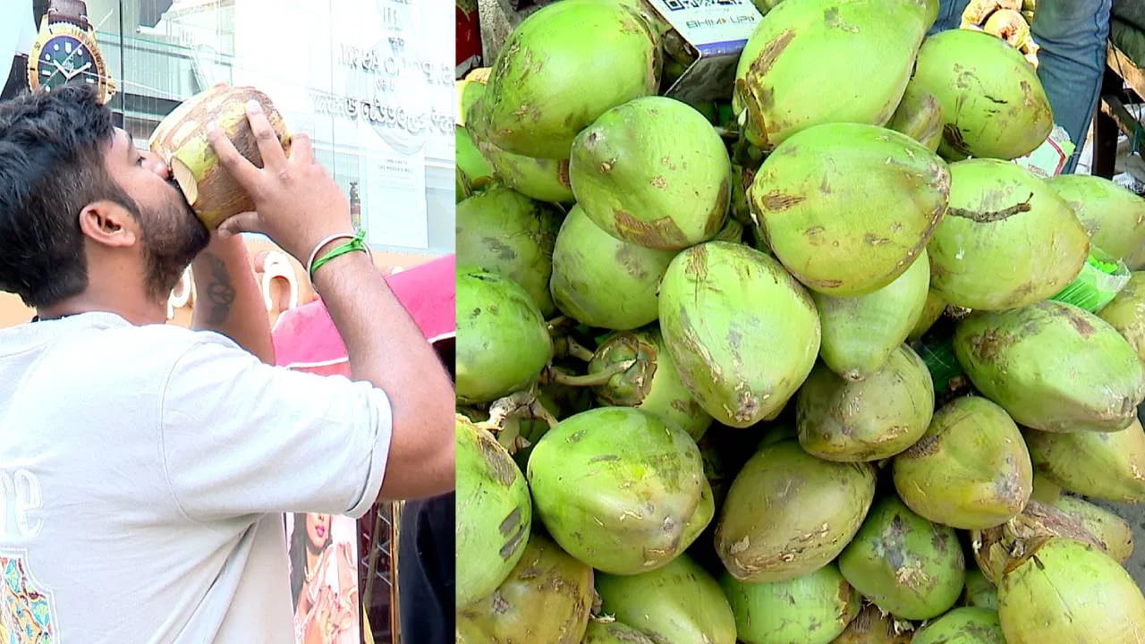 సహజమైన ఎనర్జీ డ్రింక్: కొబ్బరి నీరు కేవలం దాహాన్ని తీర్చడమే కాదు ఇది ఒక సహజమైన శక్తి పానీయం. ఇందులో కృత్రిమ తీపి ఉండదు. మధ్యాహ్నం వేళ వచ్చే బద్ధకాన్ని, అలసటను ఇది తక్షణమే దూరం చేస్తుంది. దీనిలోని పొటాషియం అలసిపోయిన కండరాలకు విశ్రాంతినిచ్చి, రోజంతా మిమ్మల్ని ఉత్సాహంగా ఉంచుతుంది.

