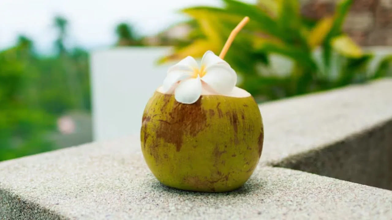 లోపలి నుండి హైడ్రేషన్.. ముఖంపై మెరుపు: వేసవిలో చెమట రూపంలో శరీరం నుండి నీరు, ఎలక్ట్రోలైట్స్ బయటకు వెళ్లిపోతాయి. కొబ్బరి నీటిలో ఉండే పొటాషియం, సోడియం, మెగ్నీషియం వంటి ఎలక్ట్రోలైట్స్ శరీరాన్ని లోపలి నుండి హైడ్రేట్ చేస్తాయి. దీని ప్రభావం మీ చర్మంపై స్పష్టంగా కనిపిస్తుంది. 30 రోజుల పాటు క్రమంగా తాగడం వల్ల చర్మం పొడిబారడం తగ్గి, సహజమైన మెరుపు వస్తుంది.
