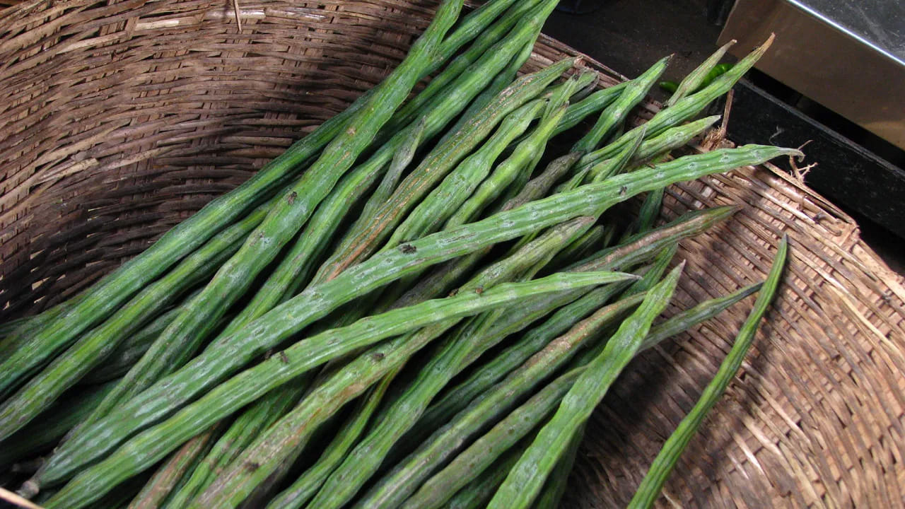 బియ్యం కడిగిన నీరు: బియ్యం కడిగిన నీరు మునగ మొక్కలకు చాలా బలం. ఎందుకంటే, వీటిలో ఎక్కువ పోషకాలు ఉంటాయి. అయితే, వారంలో రెండు సార్లు మొక్కల వేర్ల వద్ద బియ్యం కడిగిన పోస్తే మొక్క బలపడి కాయలు కూడా ఎక్కువగా కాస్తాయి. 