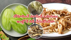 ఏడాది పొడవునా మామిడి రుచి కావాలా? నోరూరించే ఒరుగుల తయారీ ఇంట్లోనే