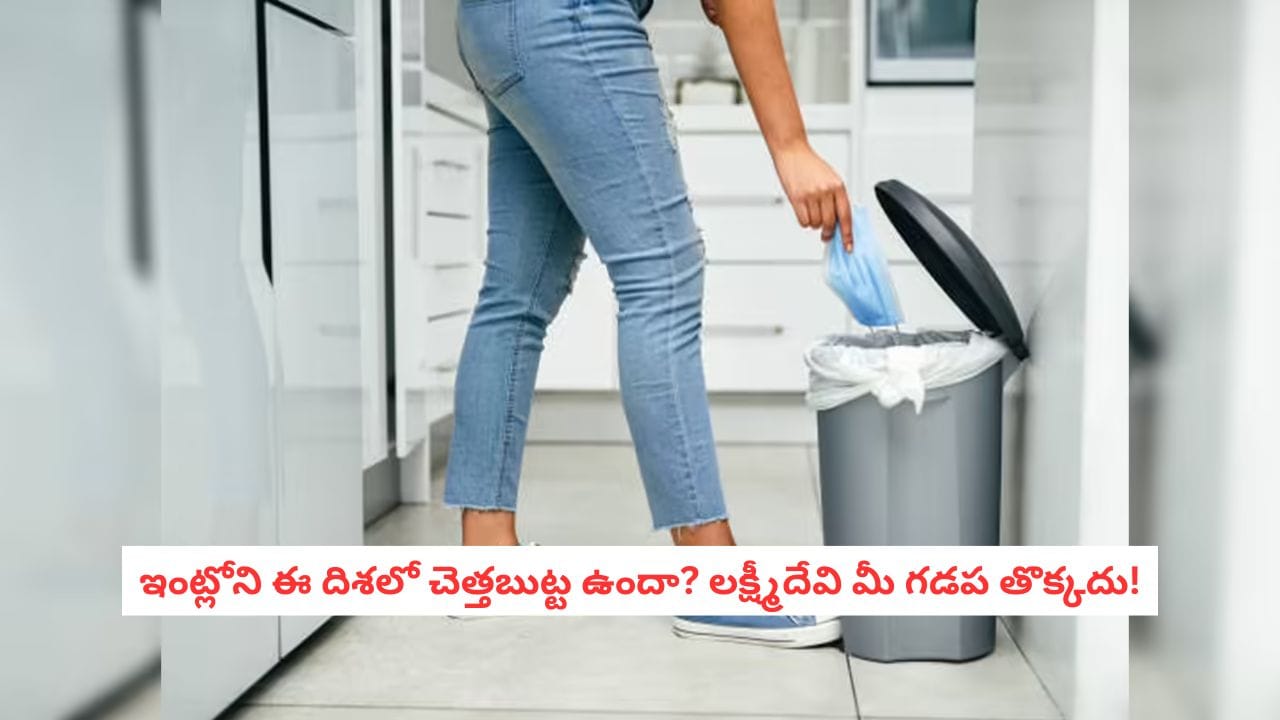 Vastu Tips: మీ ఇంట్లో చెత్తబుట్ట ఈ దిశలో ఉందా? అయితే దరిద్రం వెన్నంటే ఉంటుంది.. వెంటనే మార్చండి!