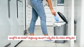 ఇంట్లోని ఈ దిశలో చెత్తబుట్ట ఉందా? లక్ష్మీదేవి మీ గడప తొక్కదు!