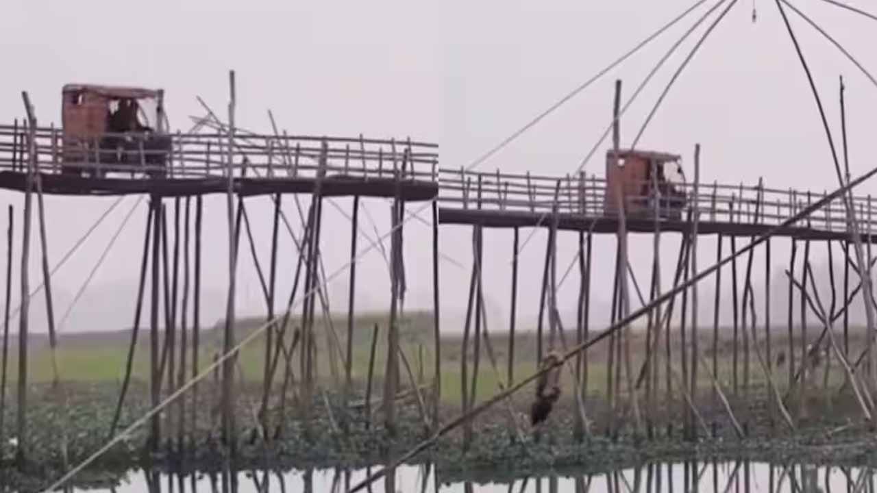 Viral Video: ఏం గుండెరా వాడిది..! వెదురు కర్రల బ్రిడ్జిపై ఆటోతో సాహసం.. వీడియో వైరల్!...