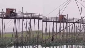 ఒళ్లు గగుర్పాటుకు గురి చేస్తున్న వీడియో!