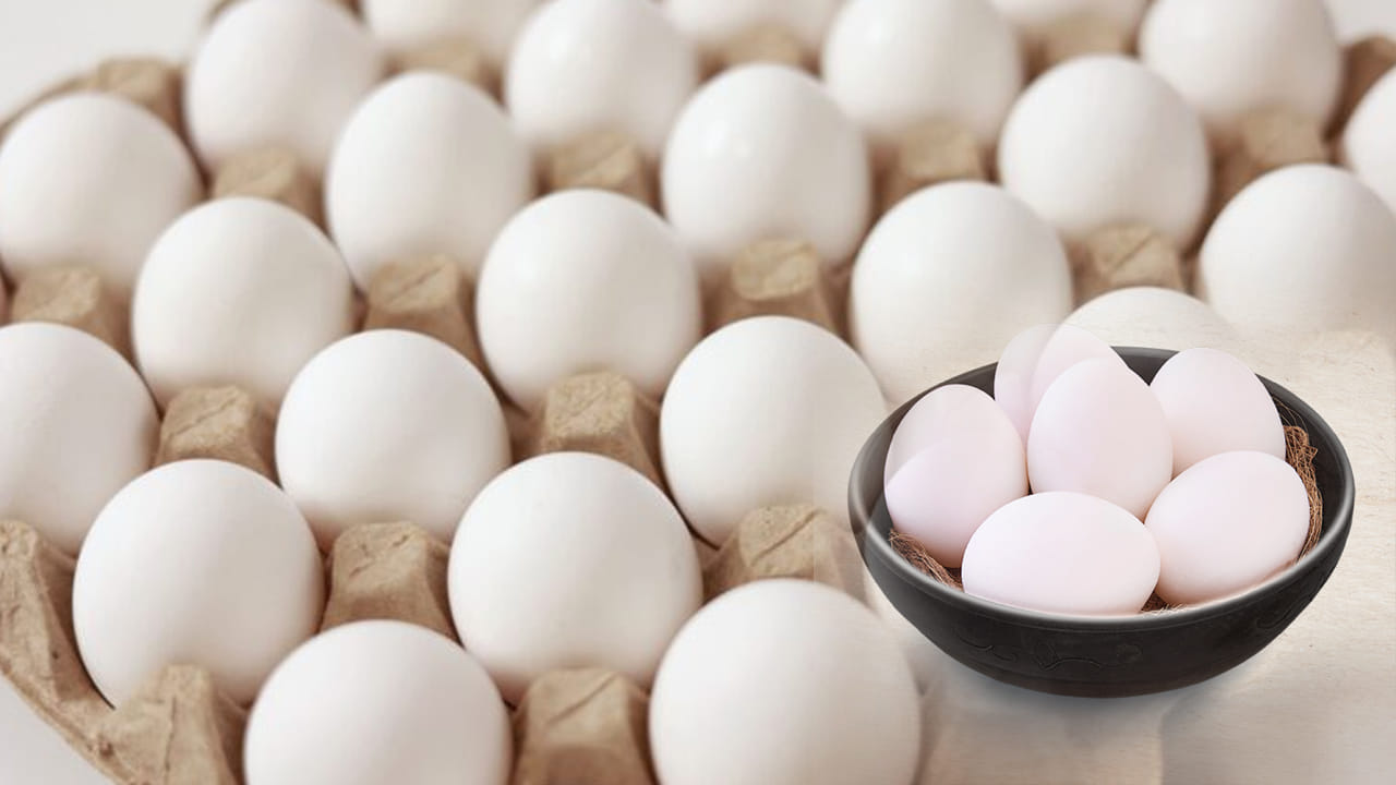 Egg Prices: నేలచూపులు చూస్తున్న ఎగ్ రేట్లు.. భారీగా తగ్గిన కోడిగుడ్డు ధరలు!