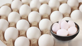 నేలచూపులు చూస్తున్న ఎగ్ రేట్లు.. భారీగా తగ్గిన కోడిగుడ్డు ధరలు!