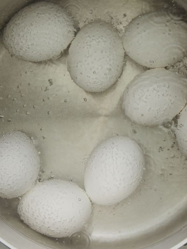 ఉడకబెట్టిన కోడిగుడ్లు నీటితో ఇలా చేస్తే.. ఆ పూలు గుత్తులు గుత్తులుగా