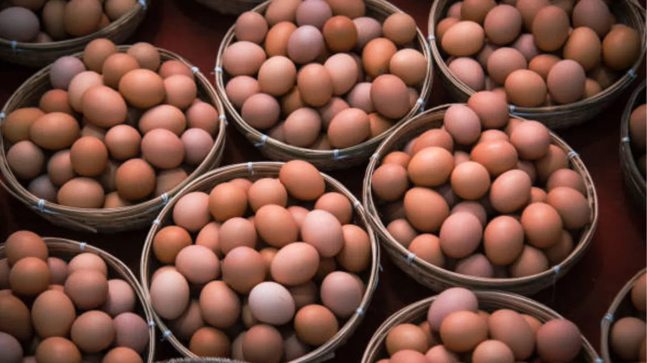 ఒక కోడిగుడ్డు రూ.25 వేలు అమ్ముడుపోయిందంటే నమ్ముతారా? అవును ఈ కోడి గుడ్డు కోసం వేలు పోశారు. మరి ఎందుకు వాళ్ళు అంత డబ్బు పెట్టారు? అసలు దీని వెనుకున్న స్టోరీ ఏంటో ఇక్కడ వివరంగా తెలుసుకుందాం..