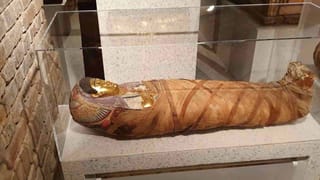 ఓరి నాయనో.. పగబట్టిందా ఏందీ.. దాడి చేసి, చేతి వేళ్ళు పీక్కొని పరుగులు పెట్టిన కుక్క..!