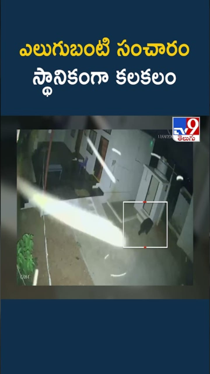 గ్రామంలో ఎలుగుబంటి హల్చల్.. హడలెత్తిపోయిన జనం