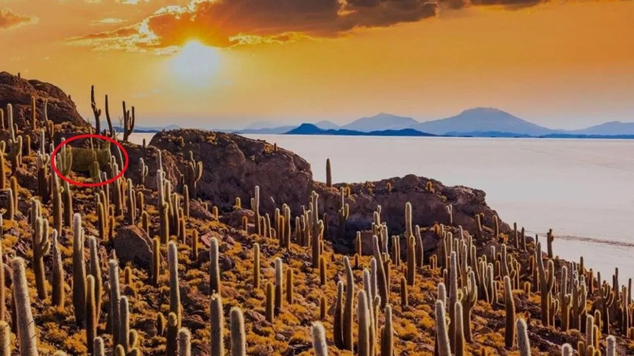 Empty Stomach Alcohol Dangers