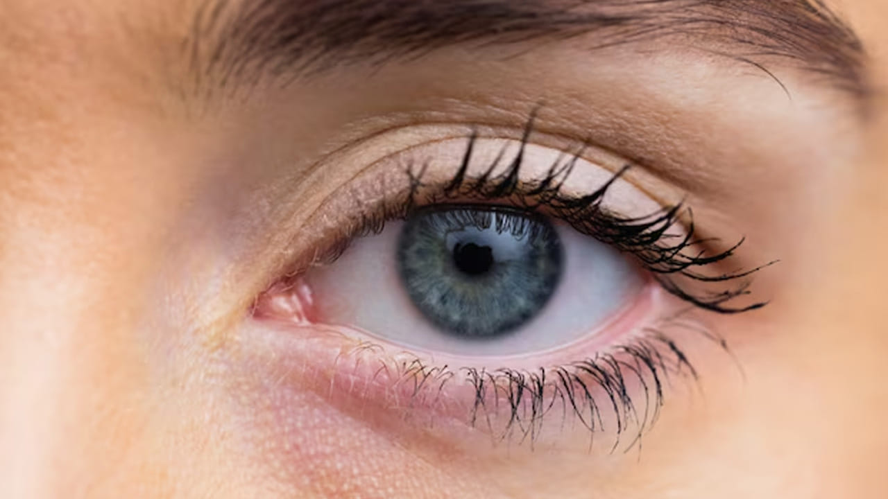 నోట్ : ఈ వార్తలలో ఇవ్వబడిన సమాచారం మత విశ్వాసాలపై ఆధారపడి ఉంది. పాఠకుల ఆసక్తి మేరకు.. పలువురు పండితుల సూచనలు, వారి తెలిపిన అంశాల ఆధారంగా అందించినవి మాత్రమే.. వీటిలో ఎలాంటి శాస్త్రీయ ఆధారాలు లేవని పాఠకులు గమనించాలి. టీవీ9 తెలుగు దీనిని ధృవీకరించలేదు