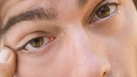 ఎడుమ కన్ను, కుడి కన్ను.. మగవారికి ఏ కన్ను అదరడం అదృష్టమో తెలుసా?