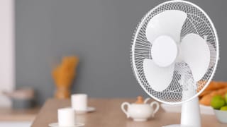 PM Modi: కోల్‌కతాలో కాళీమాతా ఆలయంలో ప్రధాని మోదీ ప్రత్యేక పూజలు.. ఫొటోలు వైరల్..