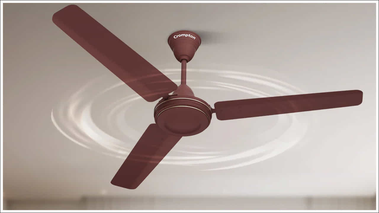 Ceiling Fan: ప్రస్తుతం రికార్డు స్థాయిలో వేడి నెలకొని ఉన్న ఈ రోజుల్లో ఫ్యాన్ను పూర్తి వేగంతో పెట్టినప్పటికీ అది నెమ్మదిగా తిరుగుతుంటే వేడిని భరించడం చాలా కష్టమవుతుంది. చాలాసార్లు ఫ్యాన్ వేగం తగ్గిపోయిందని మనం గ్రహించలేకపోతాము. ఫ్యాన్ స్పీడ్ తగ్గిపోతే రూమ్లో కూలింగ్ తగ్గుతుంది. అటువంటి పరిస్థితిలో ఏమి చేయాలో తెలుసుకుందాం..