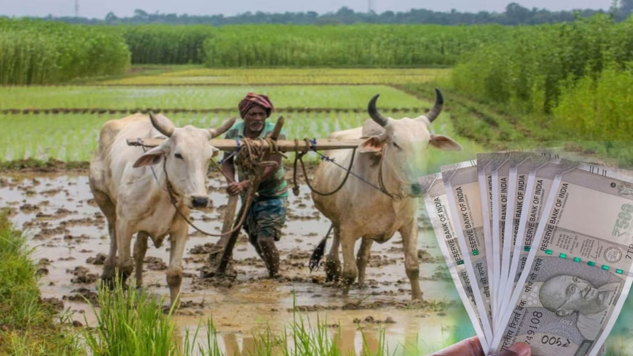 Farmers: రైతులకు గుడ్ న్యూస్.. అకౌంట్లో రూ.6000.. రైతుల కోసం దరఖాస్తులు షురూ.. ఇలా చేసుకోండి..!