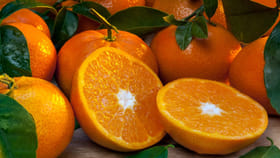 నారింజ పండ్లు తింటే ఫ్యాటీ లివర్‌ను నయం చేయవచ్చా?