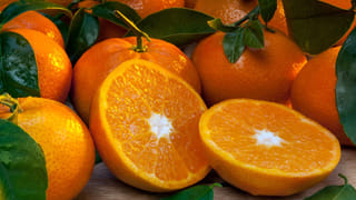 నెవ్వర్ బిఫోర్ ఎవ్వర్ ఆఫ్టర్.. 10 నిమిషాల్లోనే మామిడికాయ రోటి పచ్చడి.. ఇలా ట్రై చేయండి..