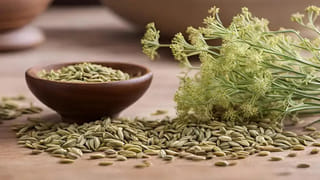 బల్లుల్ని బతనివ్వాలండోయ్.. లేదంటే మనకే ముప్పు..