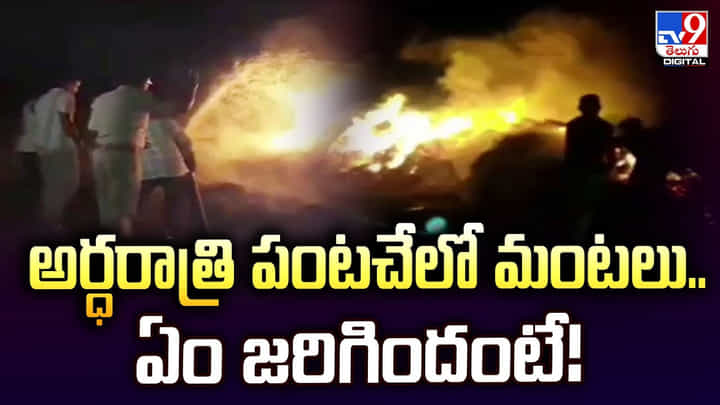 అర్ధరాత్రి పంటచేలో మంటలు.. ఏం జరిగిందంటే అర్ధరాత్రి పంటచేలో మంటలు.. ఏం జరిగిందంటే