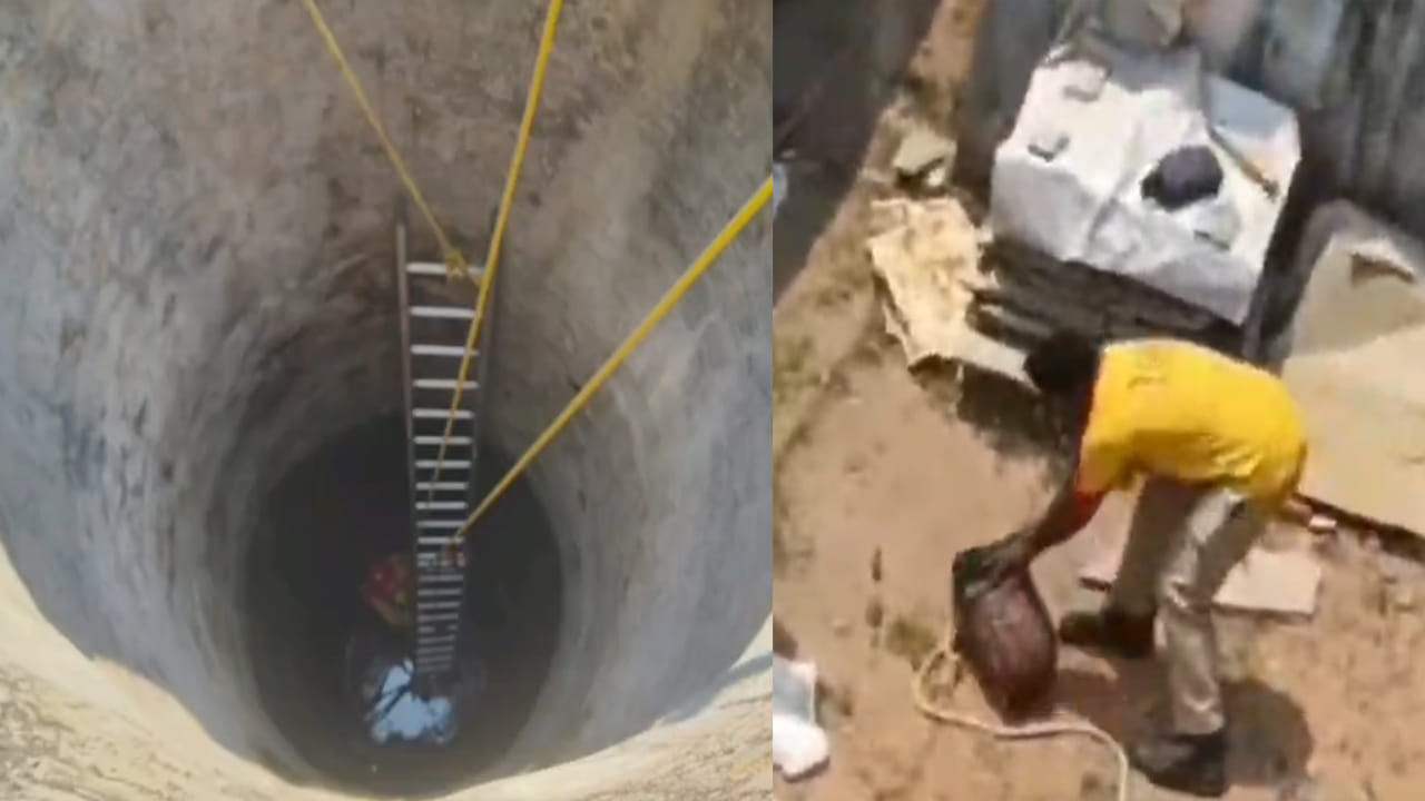 Video: ఇంటి పక్కన బావి నుంచి వింత శబ్దాలు.. ఏంటా అని చూడగా ఊహించని సీన్..