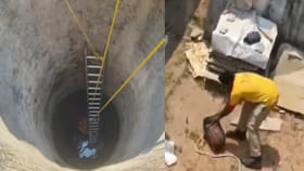 ఇంటి పక్కన బావి నుంచి వింత శబ్దాలు.. ఏంటా అని చూడగా ఊహించని సీన్
