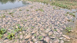 Hyderabad: ఫ్రెండ్ పిలిచాడని లాడ్జ్‌కు వెళ్లిన మహిళ.. కట్‌చేస్తే.. తెల్లారే సరికి